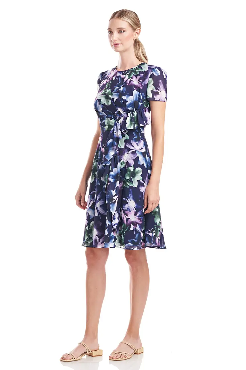 Sara Windflower Ruffle-Trimmed Chiffon Dress